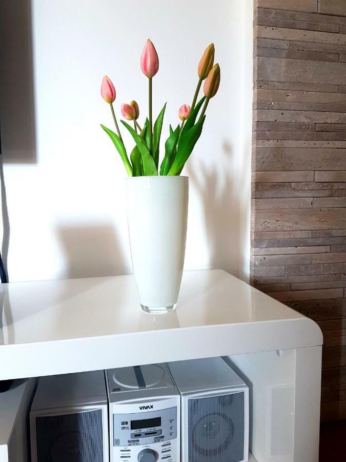 Apartment Rio Ποντστράνα Εξωτερικό φωτογραφία